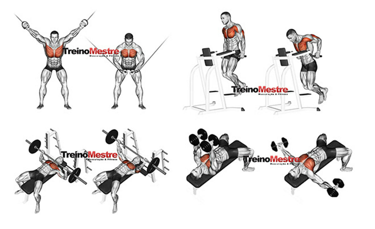 Exerc Cios Para Peitoral Que N O Podem Faltar Em Seu Treino Treino