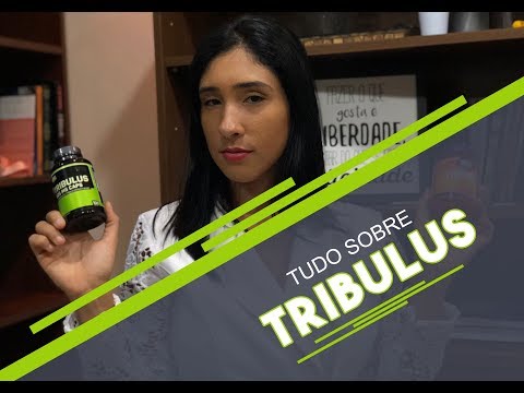 Tudo sobre o Tribulus Terrestris, Benefícios, Colaterais onde COMPRAR