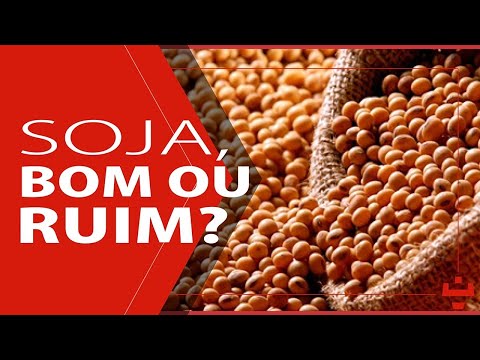 BENEFÍCIOS DA SOJA
