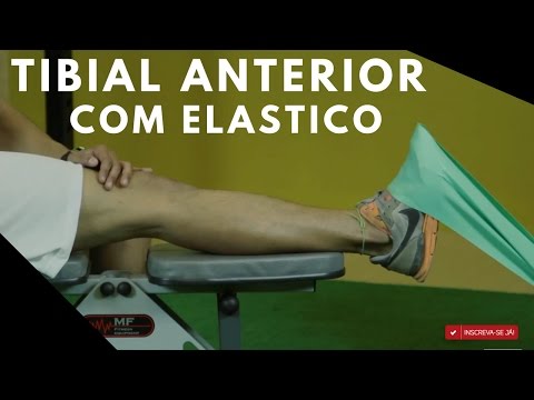 TIBIAL ANTERIOR COM ELÁSTICO - EXERCÍCIO- PERSONAL JULIO MORAES