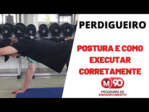 Perdigueiro - TM90 de Emagrecimento