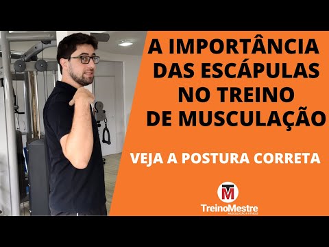 Escápulas: Veja sua importância no treino de musculação