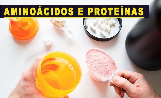 suplementos de proteínas e aminoácidos