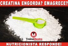 creatina engorda emagrece retem liquido