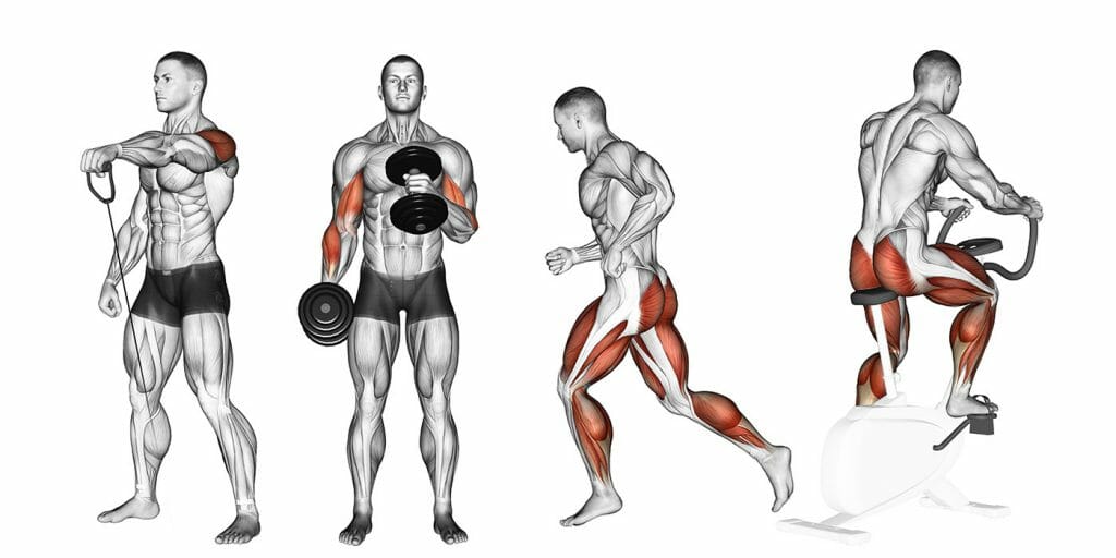 Aeróbicos antes ou depois da musculação? Veja como não errar! Aeróbicos antes ou depois da musculação?