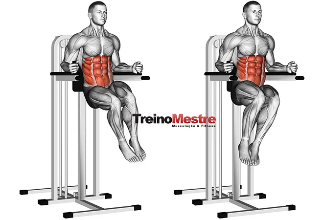 Treino de abdômen, qual a frequência ideal na musculação