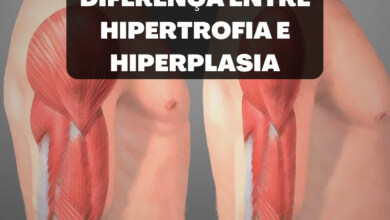 Diferença entre Hipertrofia e Hiperplasia