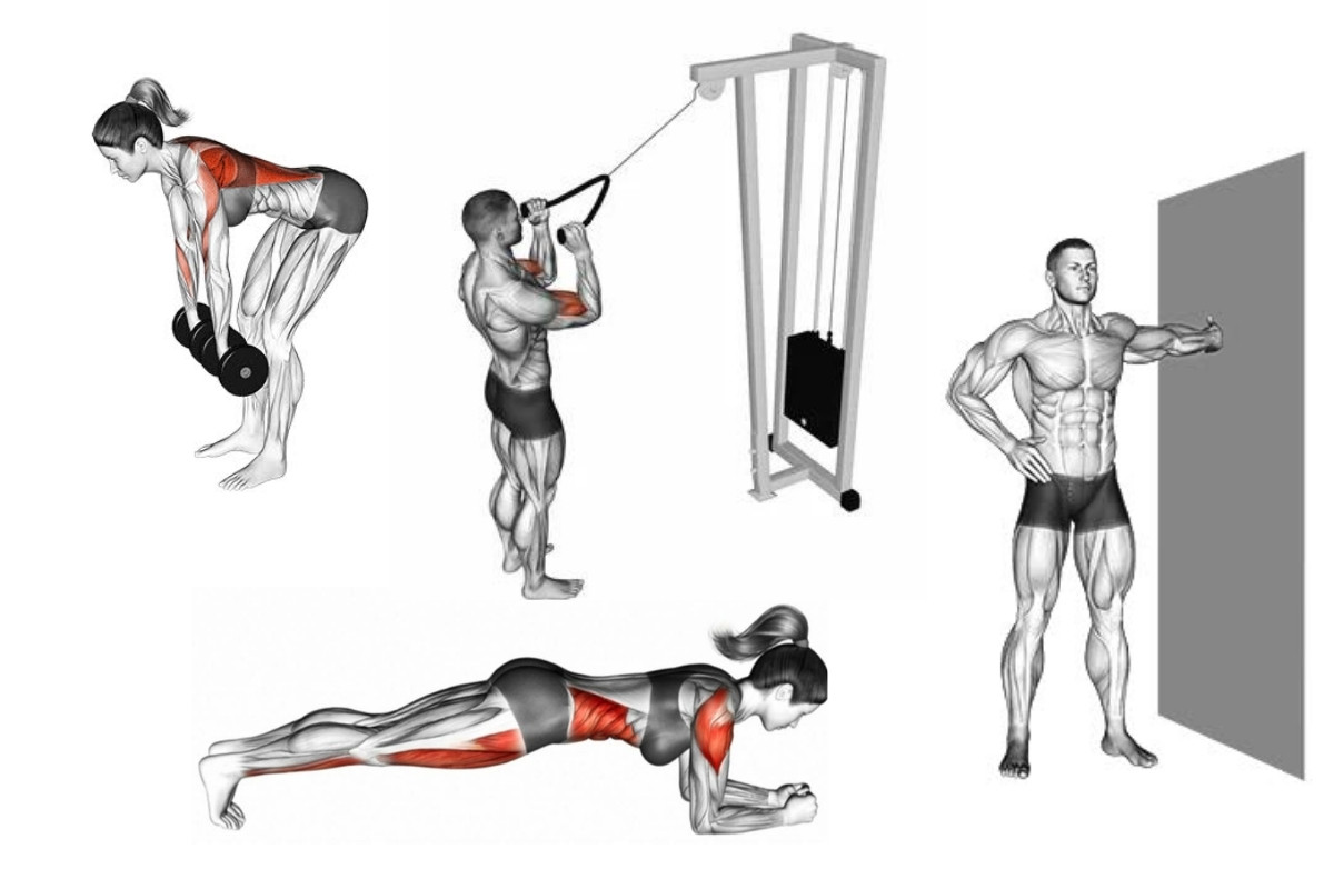 Treino de costas em casa: 5 exercícios para fortalecer os músculos