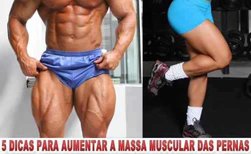 7 Dicas para aumentar a massa muscular das pernas - Treino Mestre