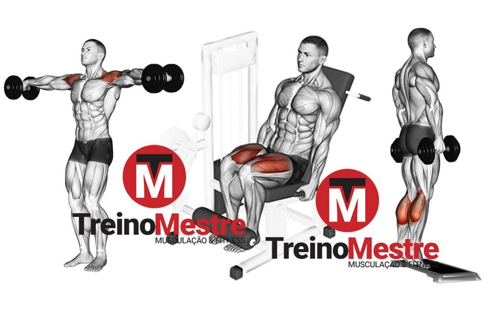Exercícios monoarticulares: o que são e como podem ser utilizados no treino?