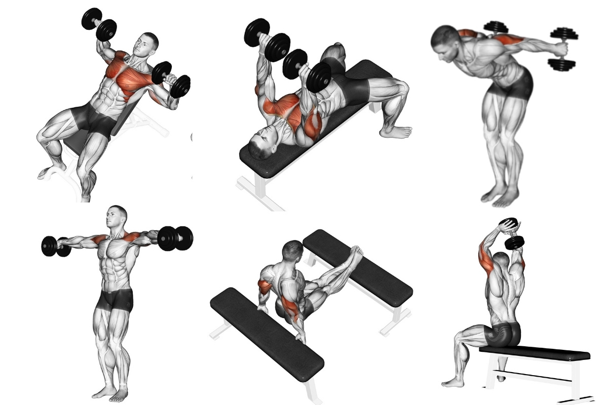 Mola Extensora Para Exercicios Ombro / Triceps / Biceps Etc