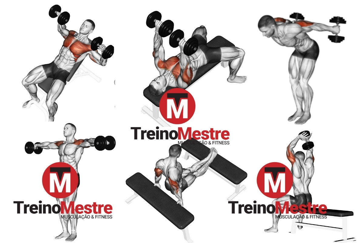 treino de peito triceps e ombro com halteres em casa