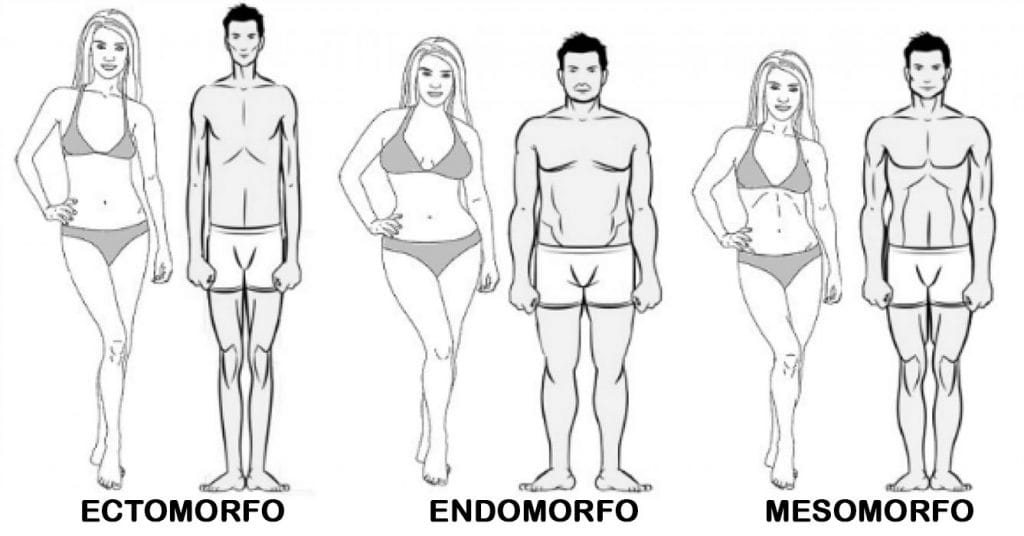 biotipo e somatotipo