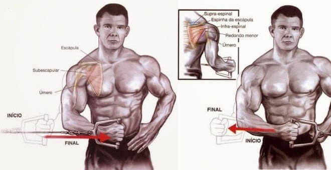 exercícios para manguito rotador