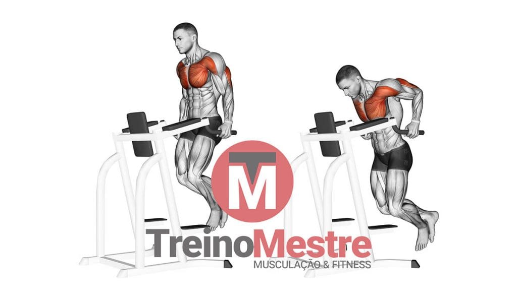 Qual o número ideal de repetições para a hipertrofia? repetições na musculação