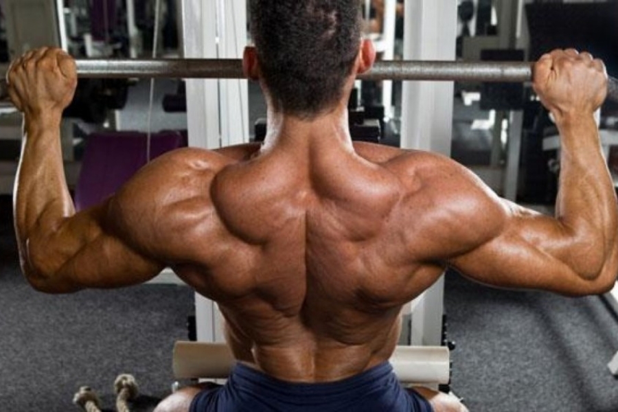 Por que treinar os músculos das costas? - Meu Treino Perfeito