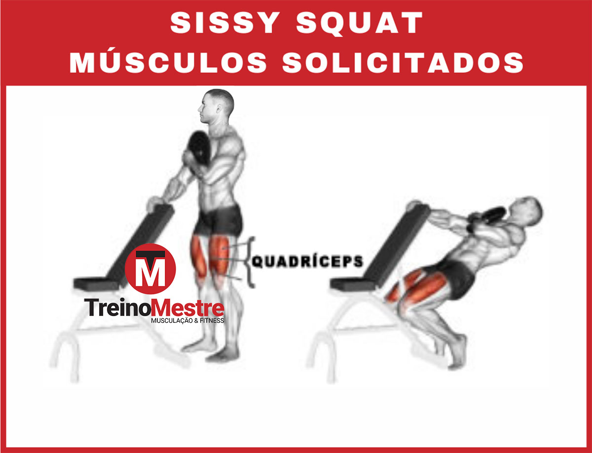 Agachamento Squat Musculação