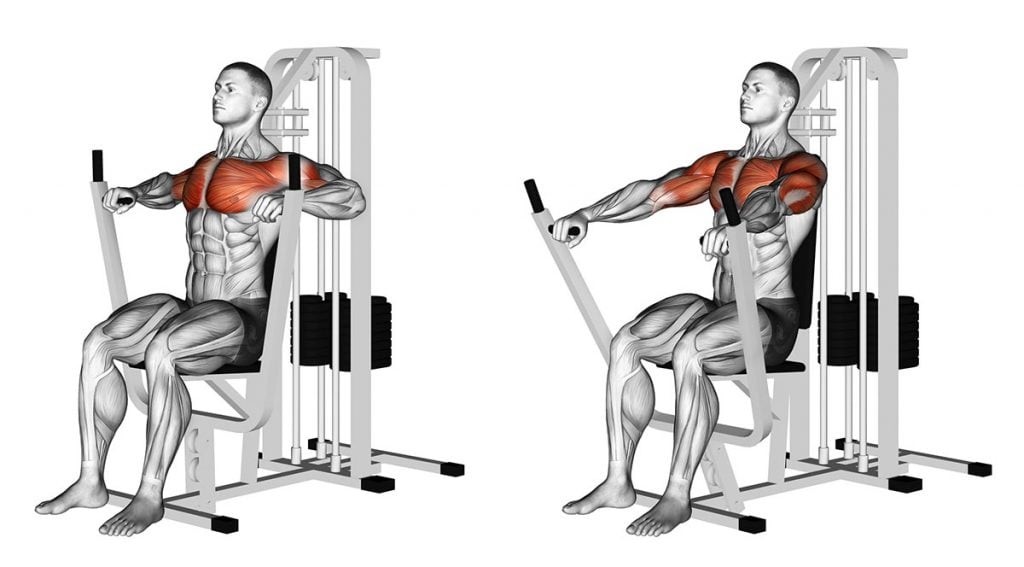 Treino de peito para iniciantes (6 exercícios com vídeo)