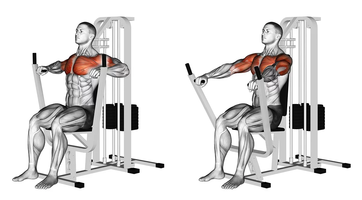 Supino, exercício indispensável para o peitoral