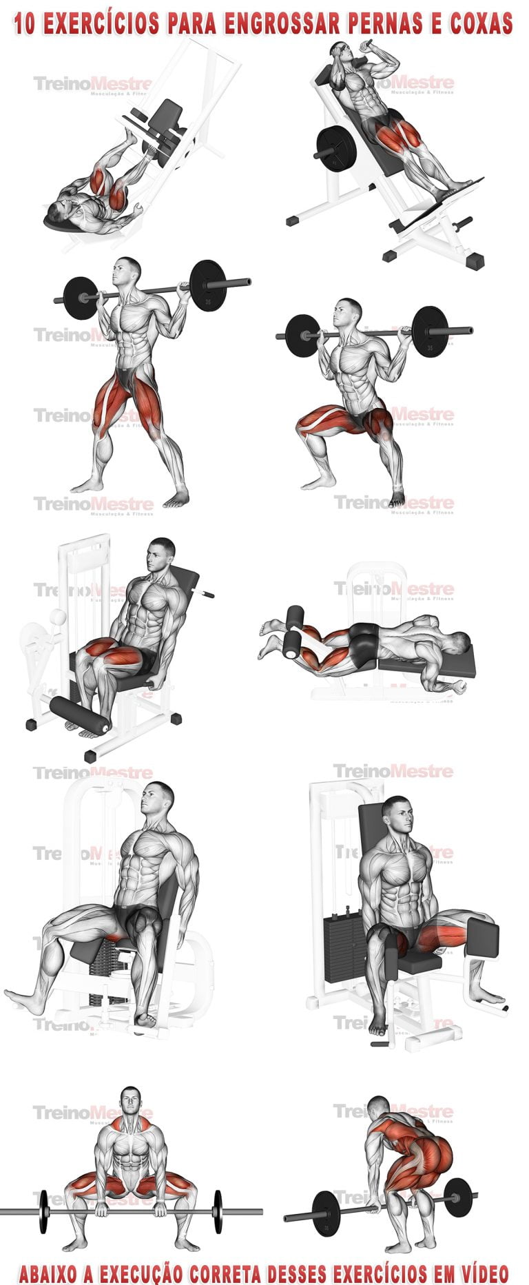 10 Melhores Exercícios para posterior de coxa (Ficha de treino)