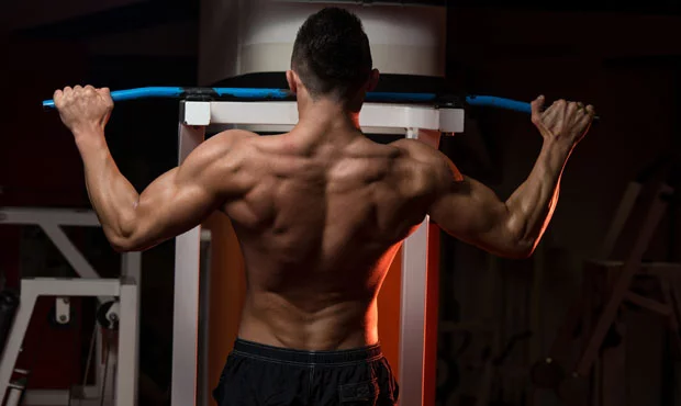5 exercícios apenas com o peso do corpo para ter braços mais fortes - Treino  Mestre