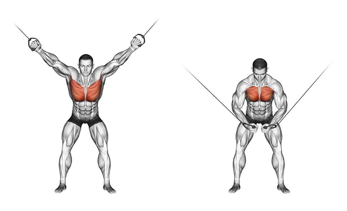 Treinamento de peitorais para avançados, 8 dicas importantes com