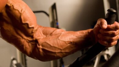 35 Melhores exercícios para cada grupo muscular segundo a ciência