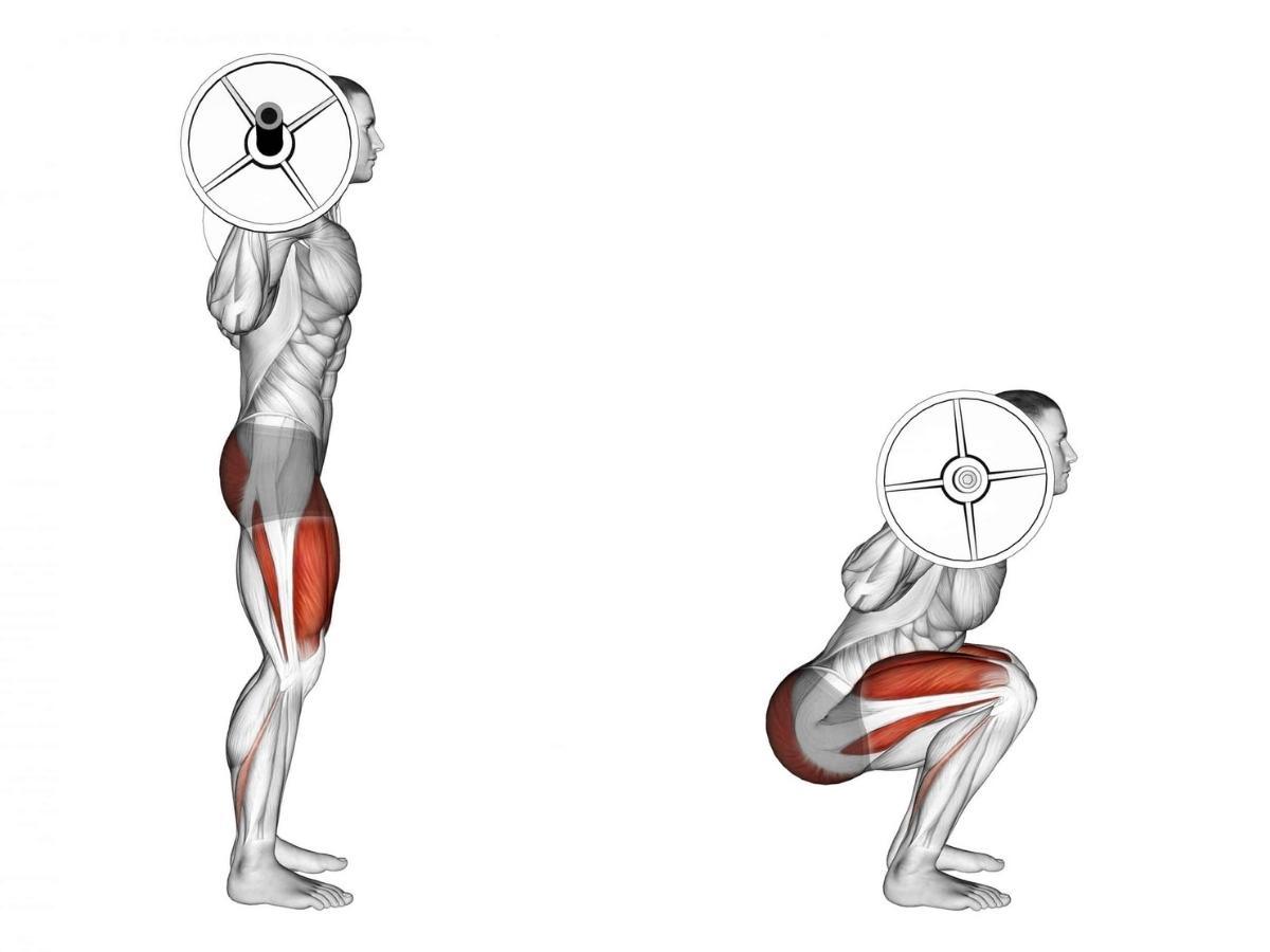 Agachamento Livre: Como fazer da forma correta