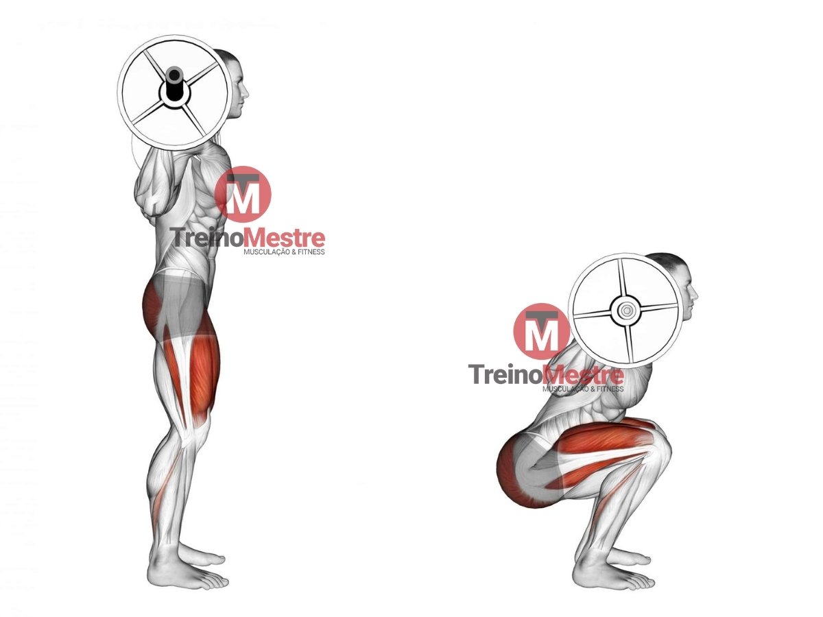 EXERCÍCIO: AGACHAMENTO SUMO. 