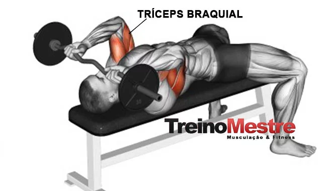 Tríceps Testa: Execução, músculos, variações e como ter resultados