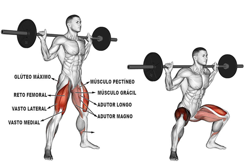 EXERCÍCIO: AGACHAMENTO SUMO. 