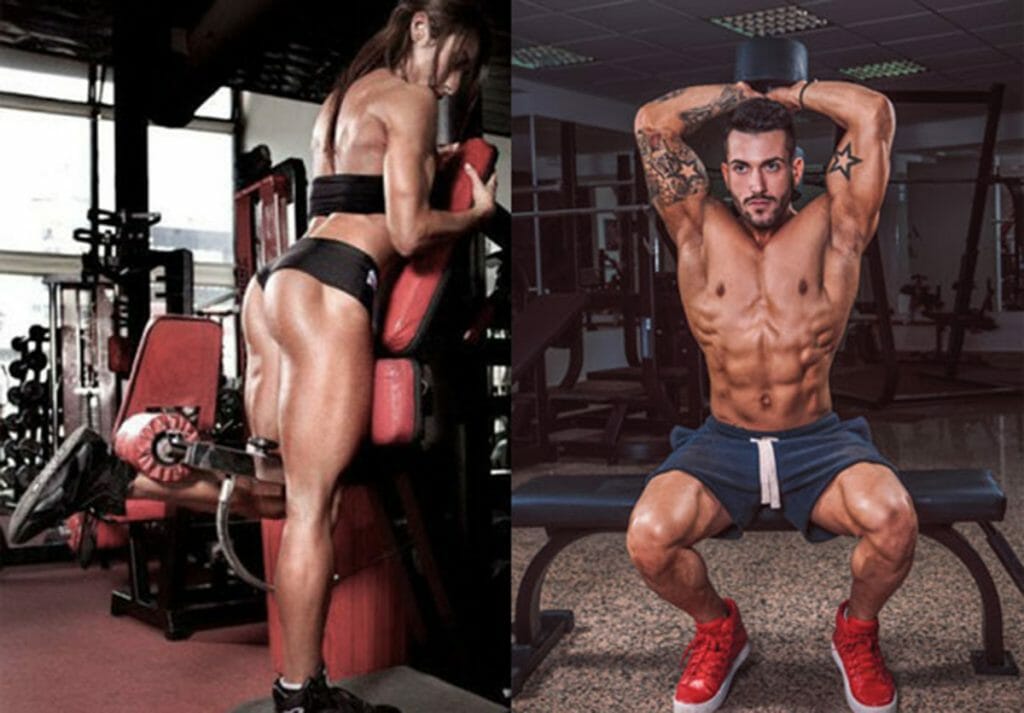 catabolismo anabolismo muscular o que é como evitar diferenças