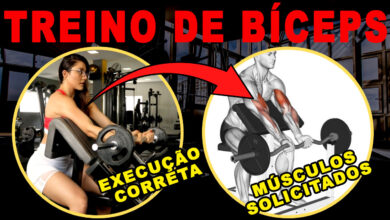 treino de biceps exercicios braço