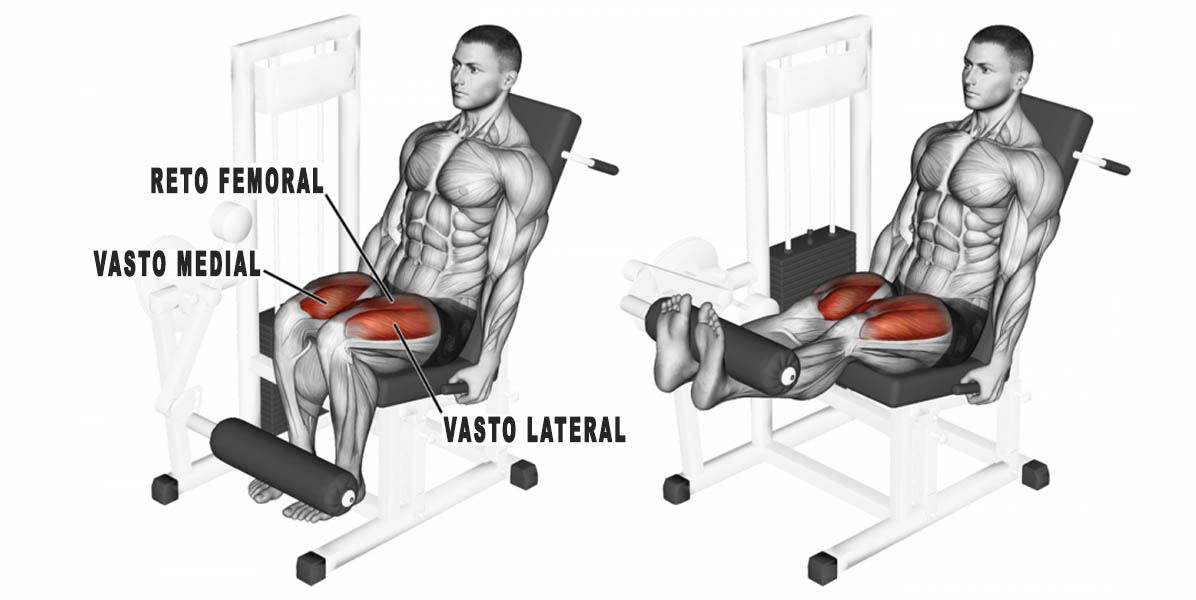 EXECUÇÃO CORRETA NA CADEIRA EXTENSORA (START ACADEMIA) 