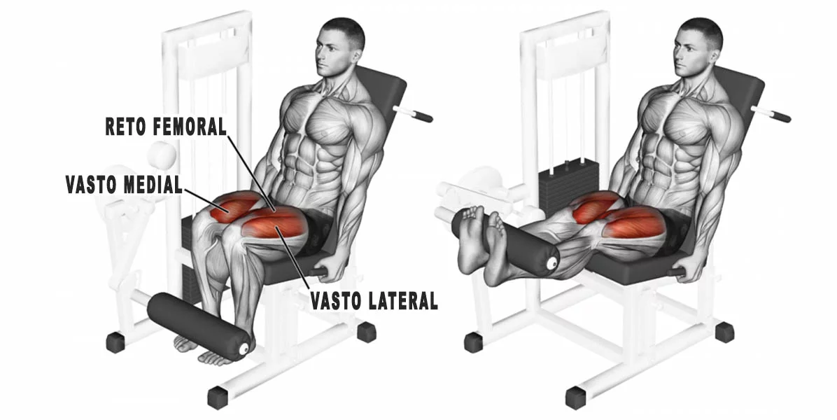 Cadeira abdutora: Para que serve, execução e músculos envolvidos