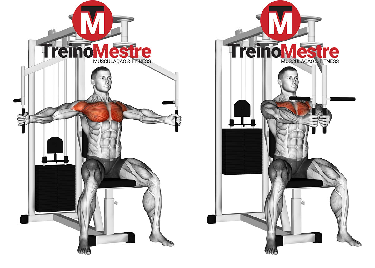 Peito - Supino Reto Sentado na Máquina - Meu Treino Perfeito