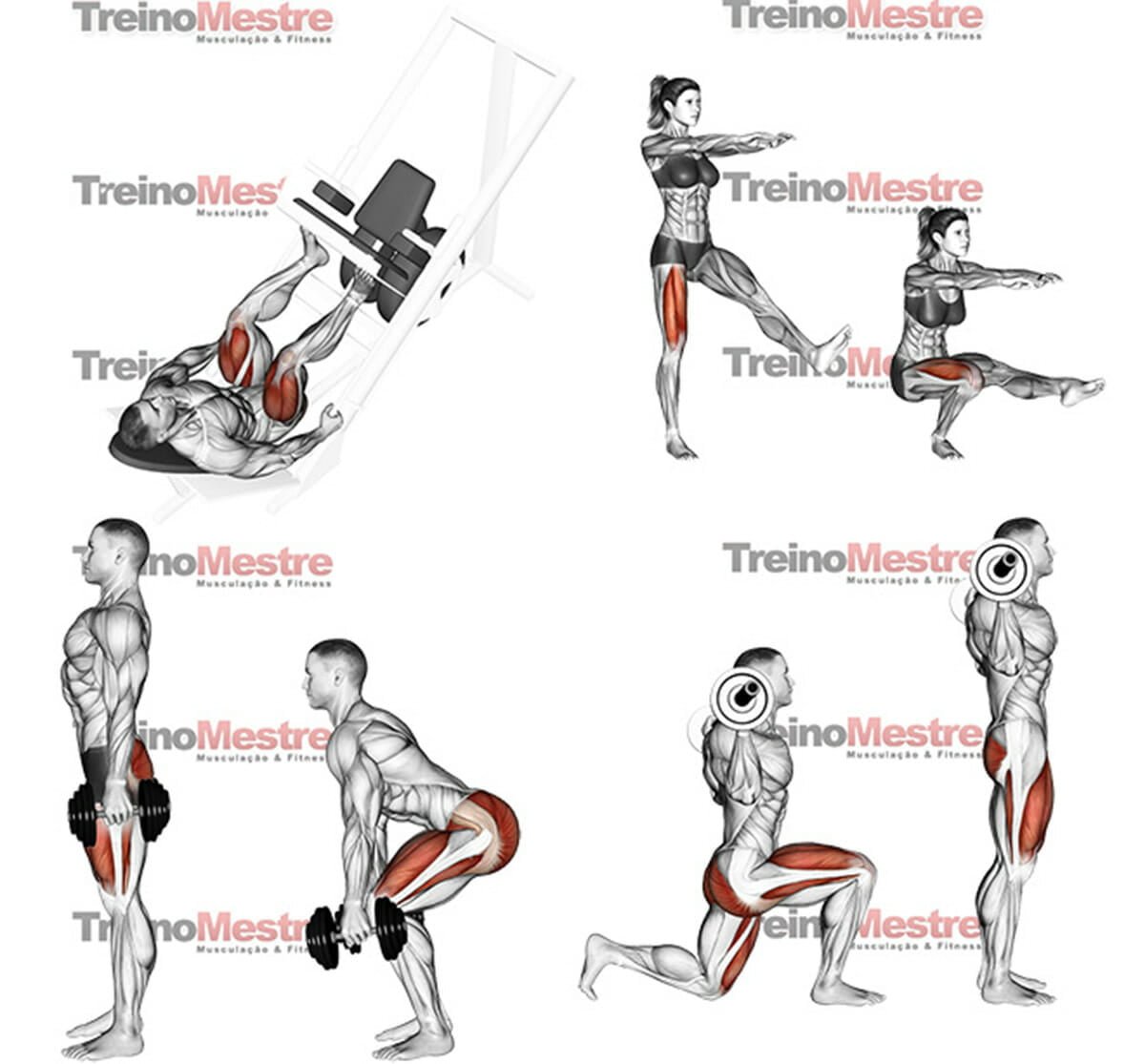 7 Maneiras de intensificar seu treino de pernas e ter melhores resultados