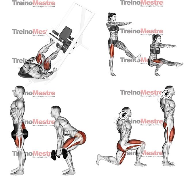 Exercícios para pernas • Hipertrofia