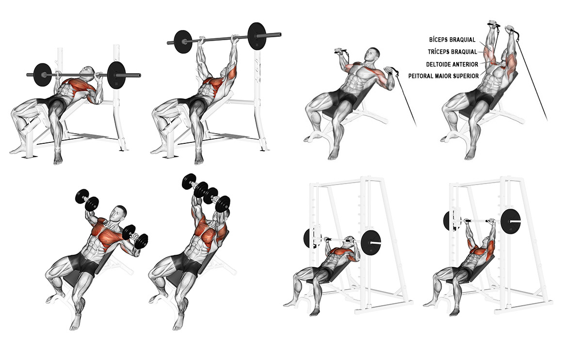 Supino reto / inclinado - Tonus