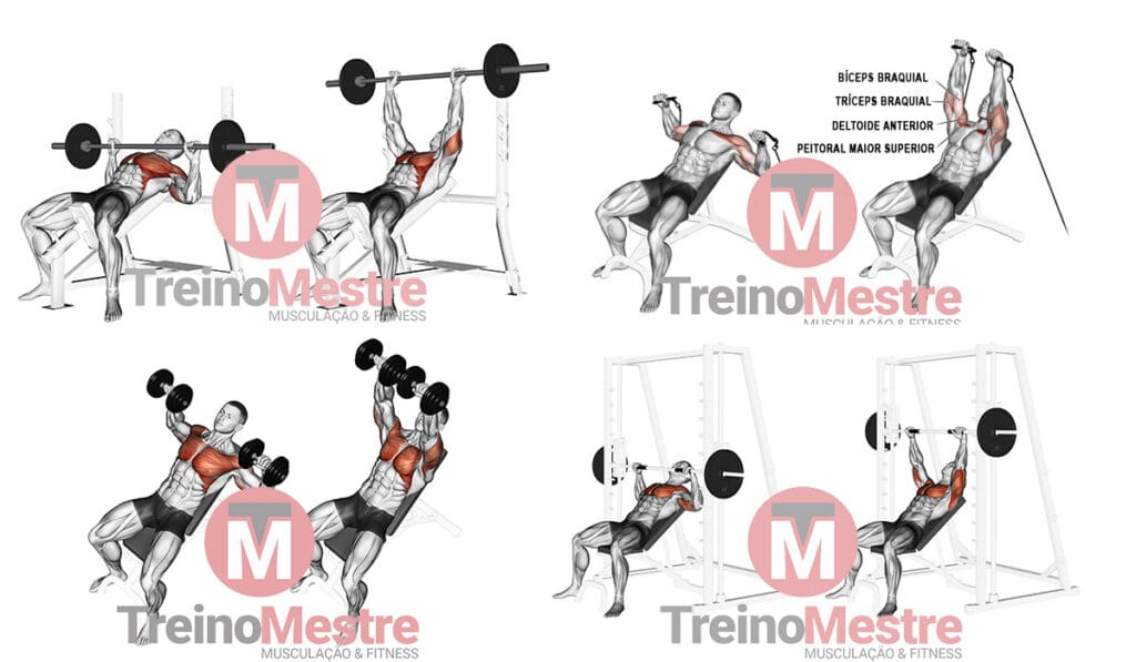 supino inclinado como fazer musculos