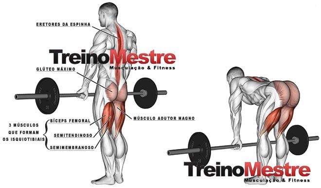 Levantamento Terra Curto no Smith 