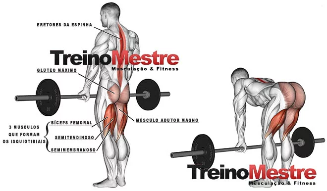 O levantamento terra sumô e o stiff sumô são variações de exercícios q