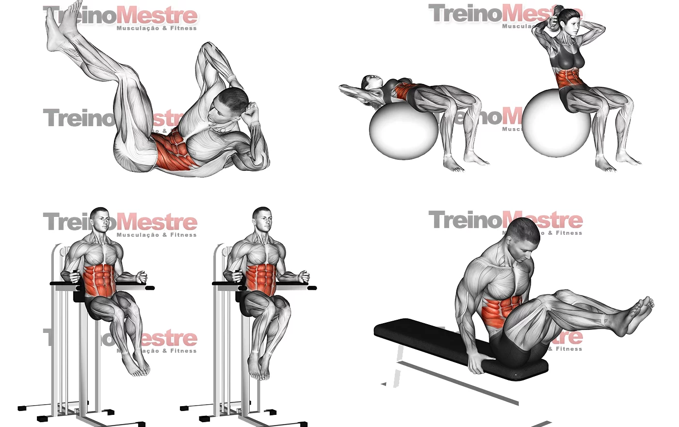 Treino de Abdômen Completo para Hipertrofia - Treino Mestre