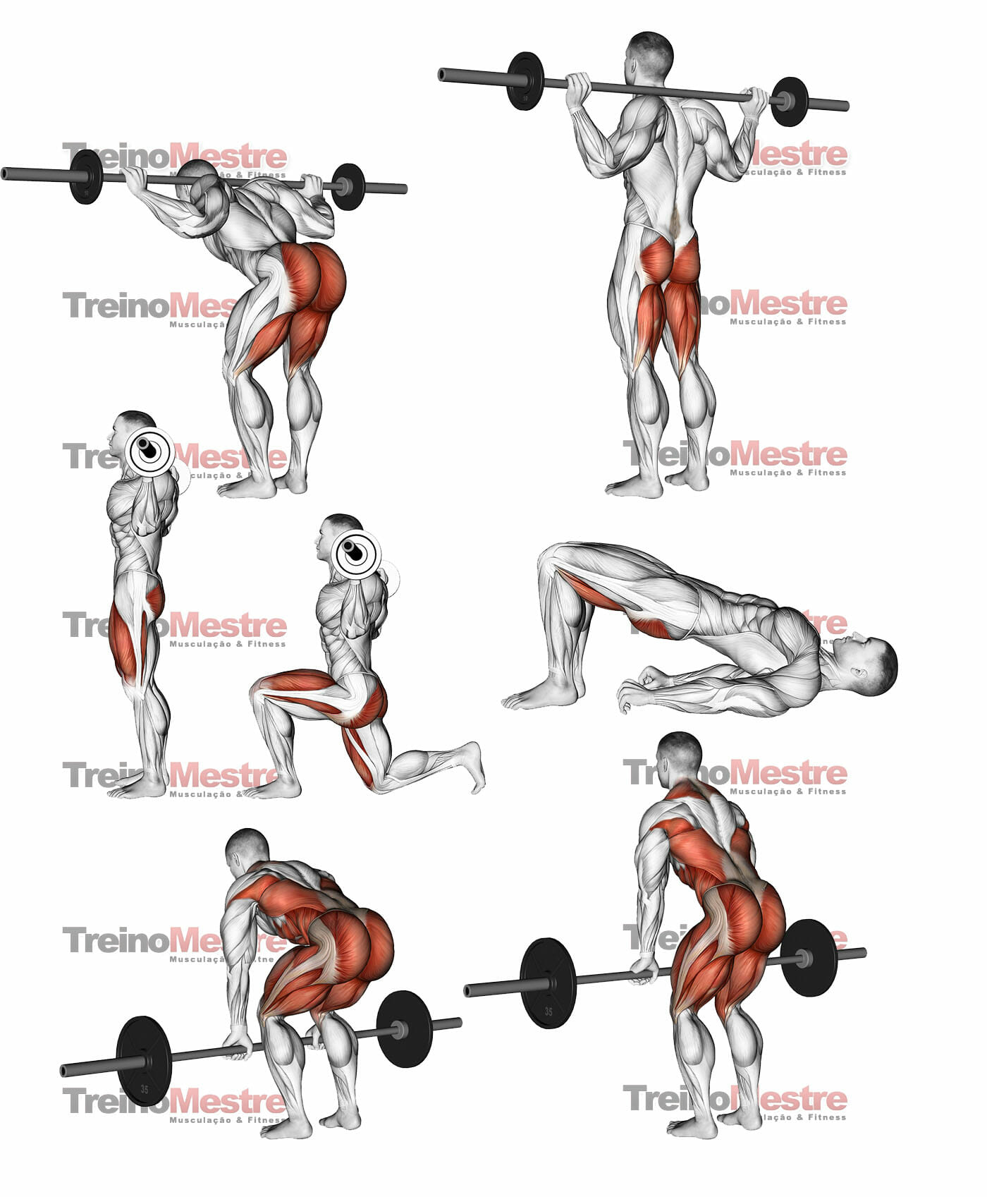 Cinco principais exercícios para o glúteo