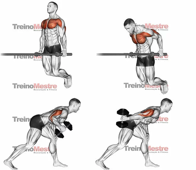 Métodos de treino de musculação para o emagrecimento - Treino Mestre
