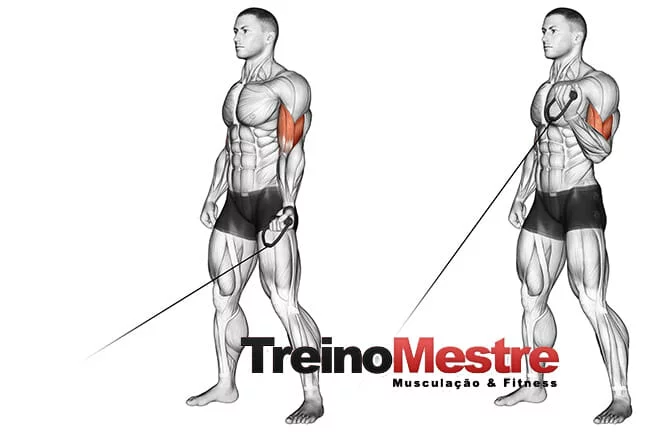 21 Métodos de treino e quais são os elementos essenciais?