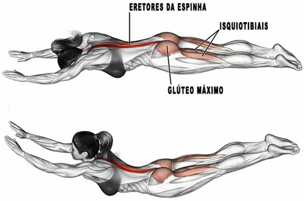 Devo aquecer antes do treino? Veja o aquecimento mais recomendado! melhores aquecimentos antes do treino