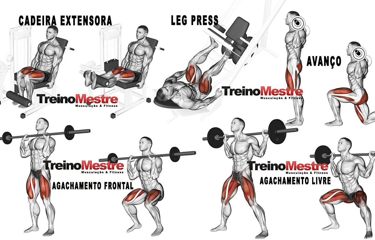 Os 8 Melhores Exercícios de Quadríceps para seu treino!