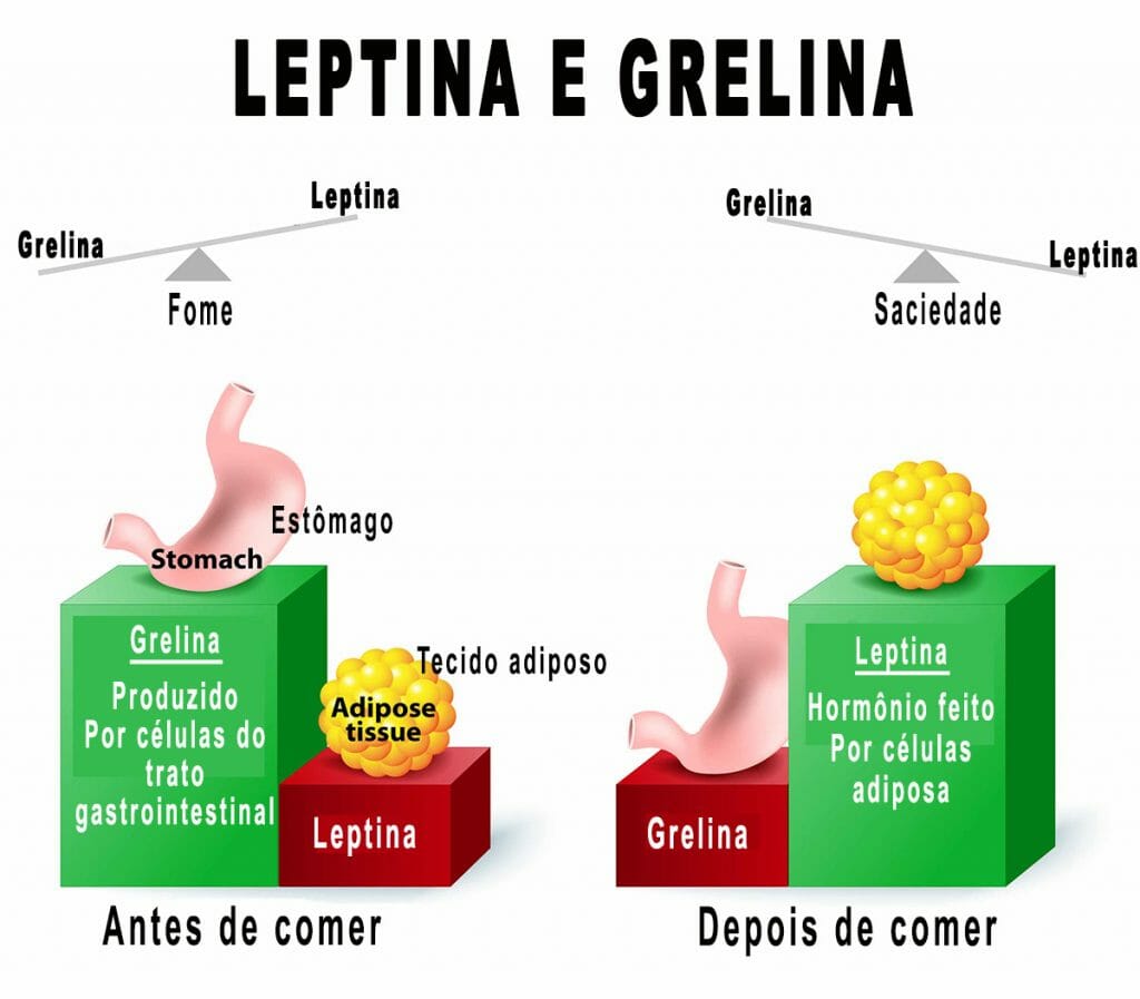 Leptina – Sua função, benefício no emagrecimento e como aumentar naturalmente