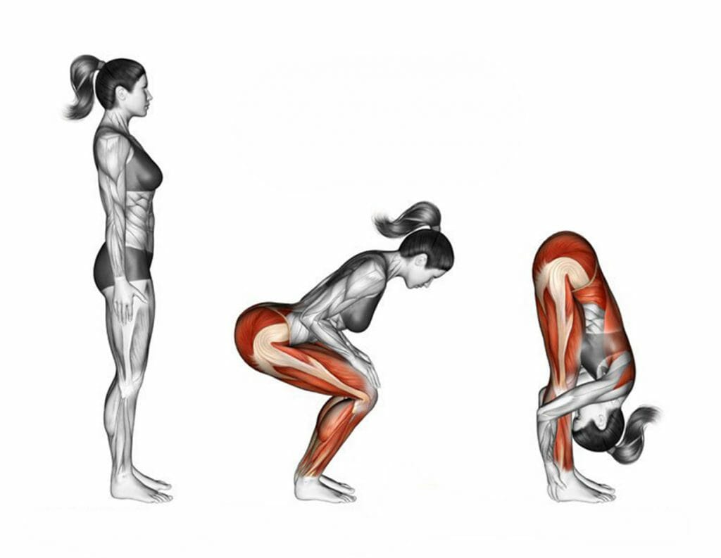 Melhores alongamentos para lombar: 6 Exercícios que não podem faltar em seu treino! Melhores alongamentos para lombar